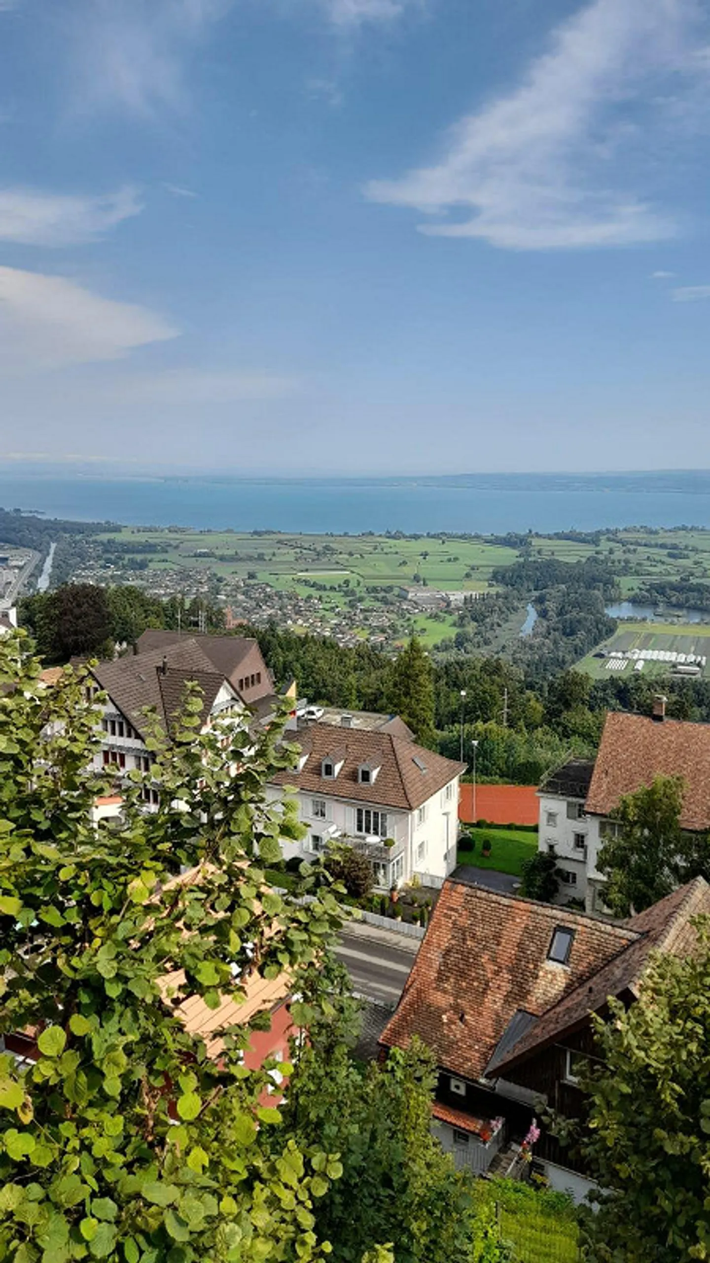 Wunderschönes 7 1/2-EFH - Liebhaberobjekt - Top Aussicht - Foto 13 von 13