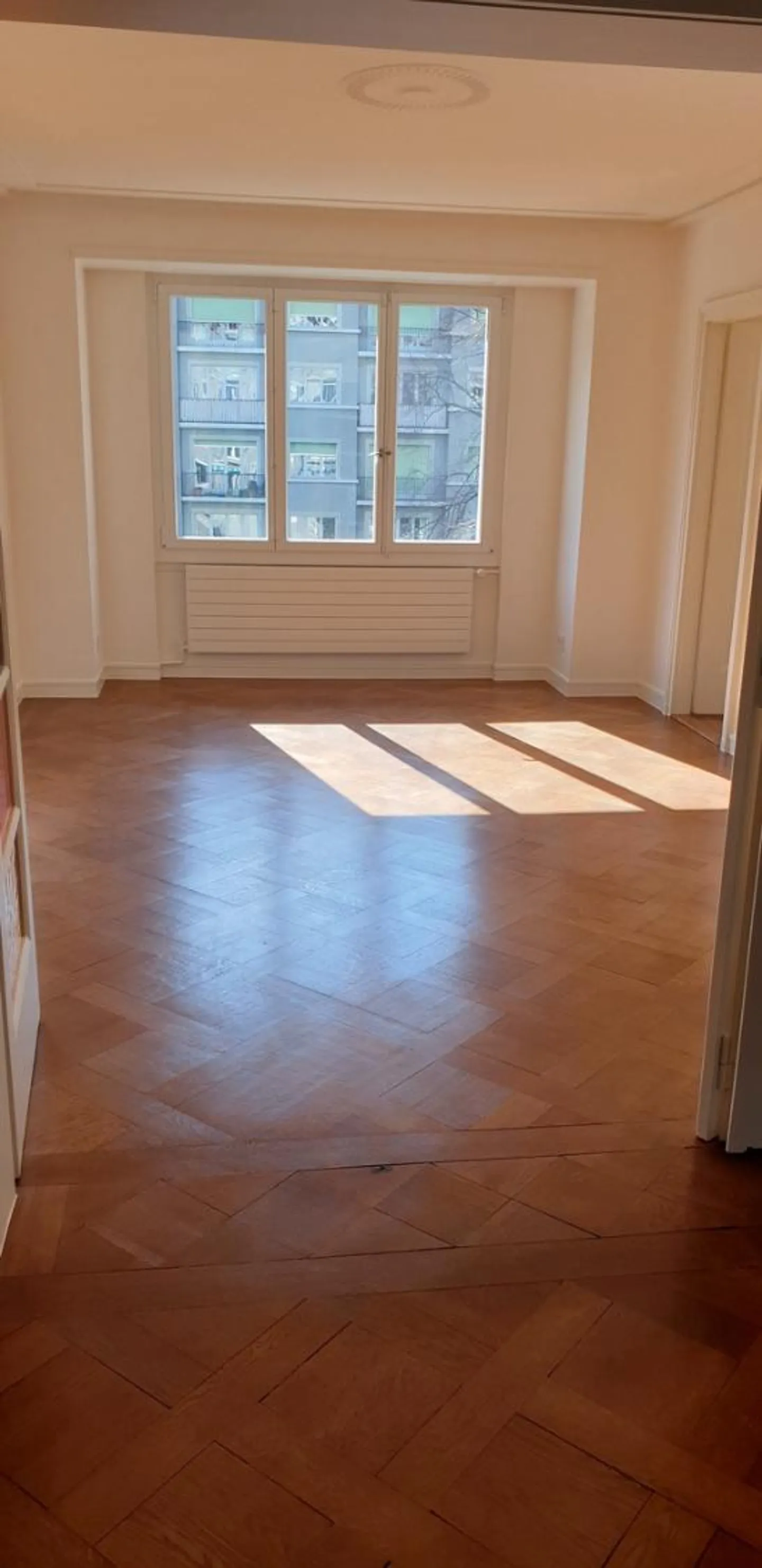 Appartement spacieux aux Eaux-Vives - Photo 5 sur 13