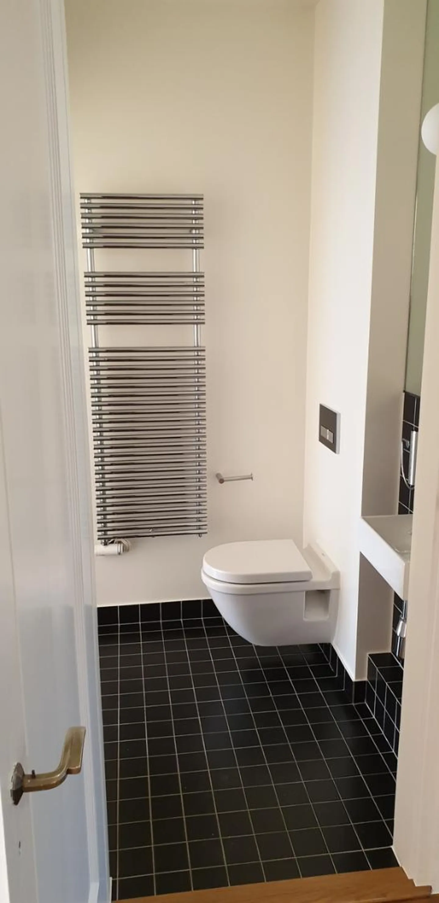 Appartement spacieux aux Eaux-Vives - Photo 8 sur 13