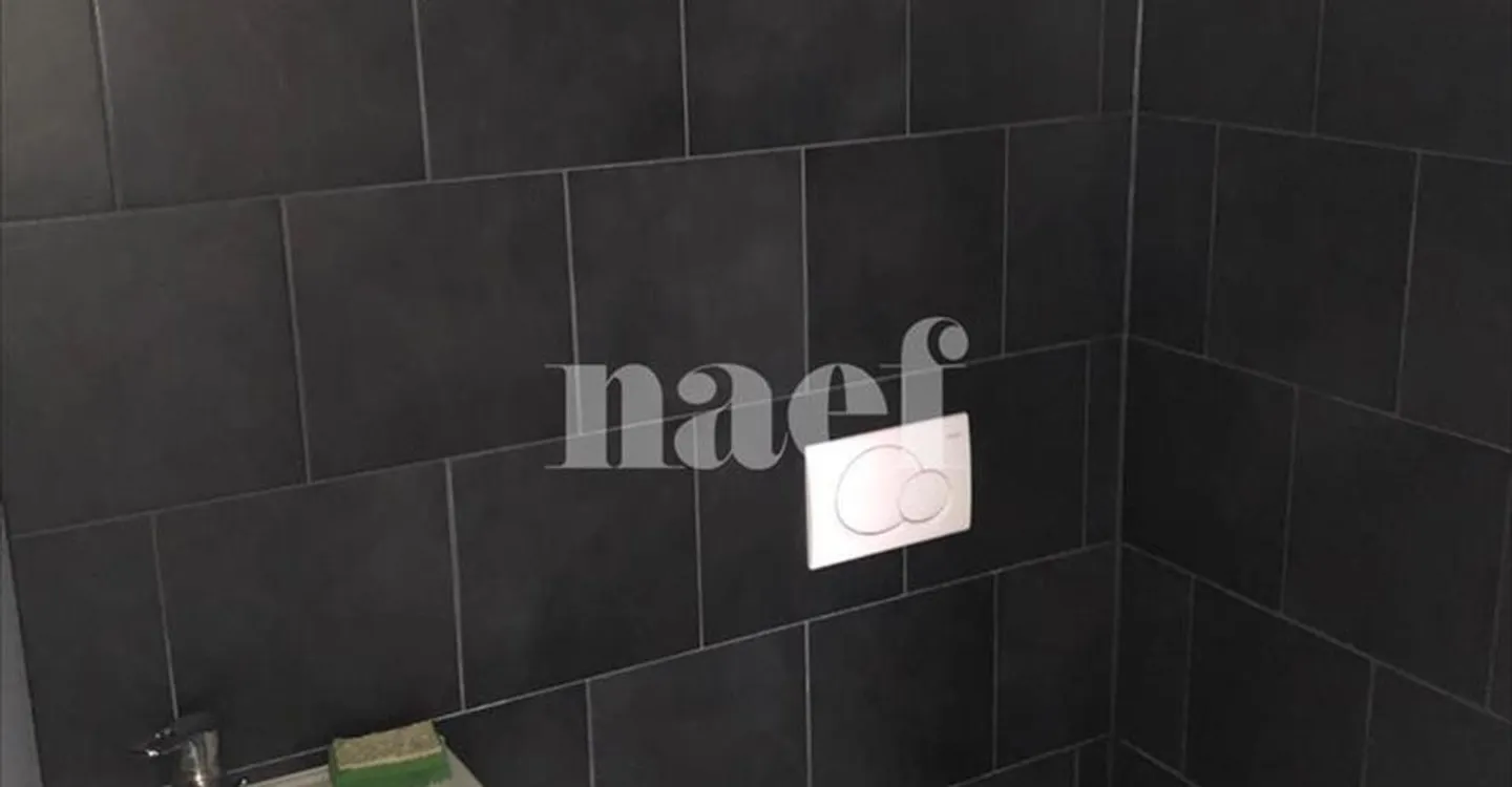 Mixed-use building for rent - Photo 3 of 13