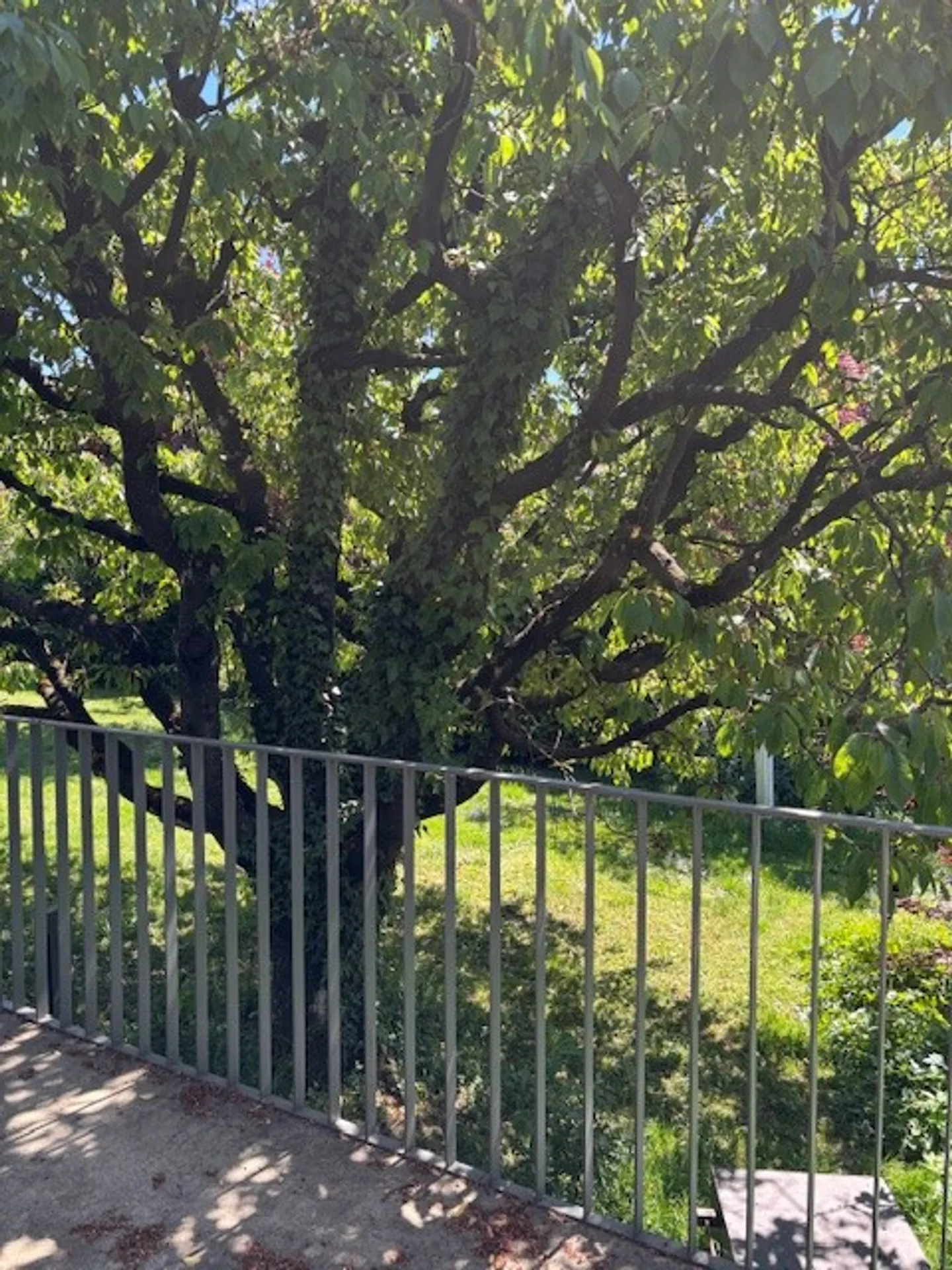 Ein Ort zum Ankommen: Idyllisches 3.5-Zimmer-Einfamilienhaus mit Garten - Photo 24 of 33