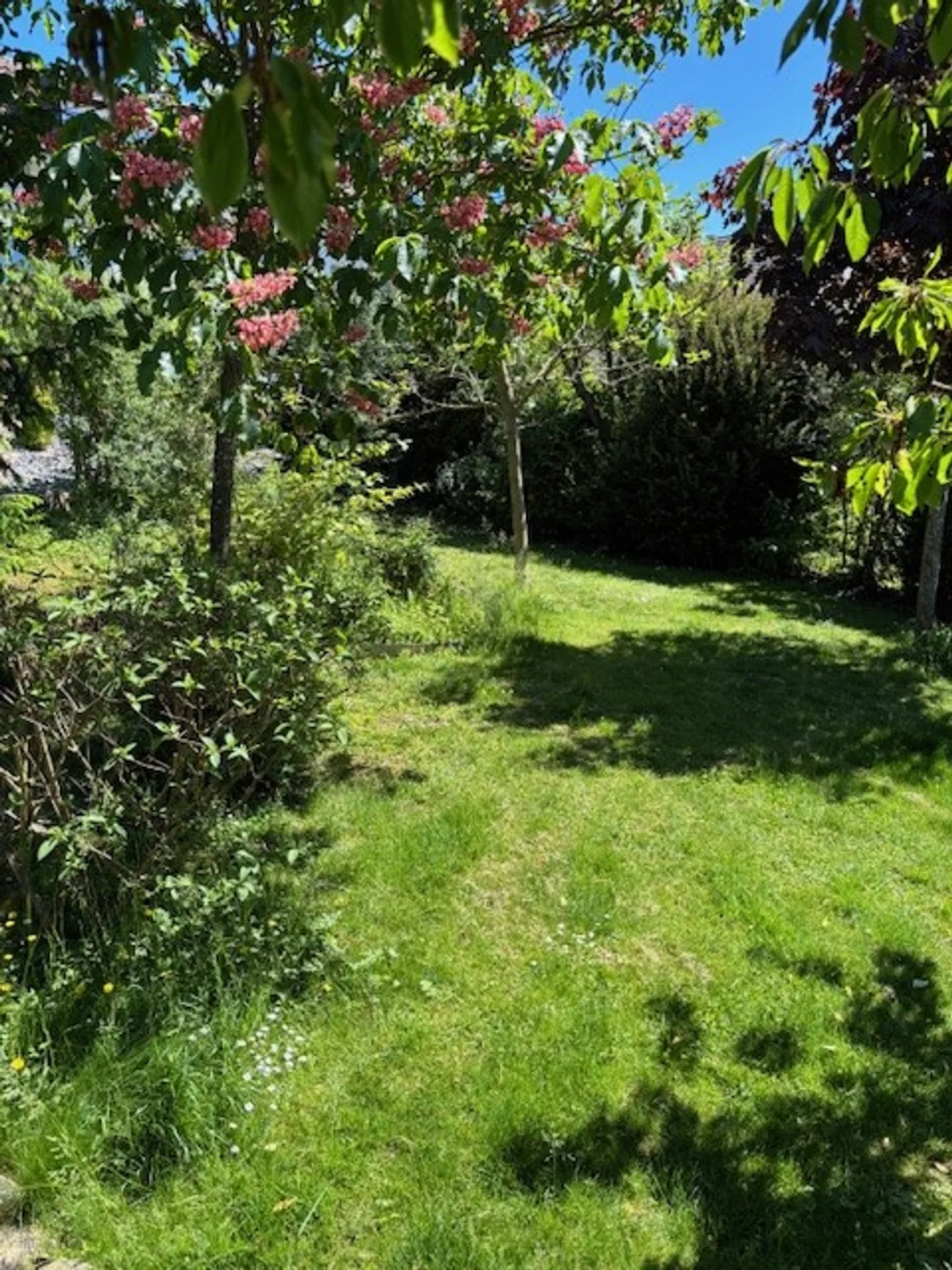Ein Ort zum Ankommen: Idyllisches 3.5-Zimmer-Einfamilienhaus mit Garten - Photo 25 of 33