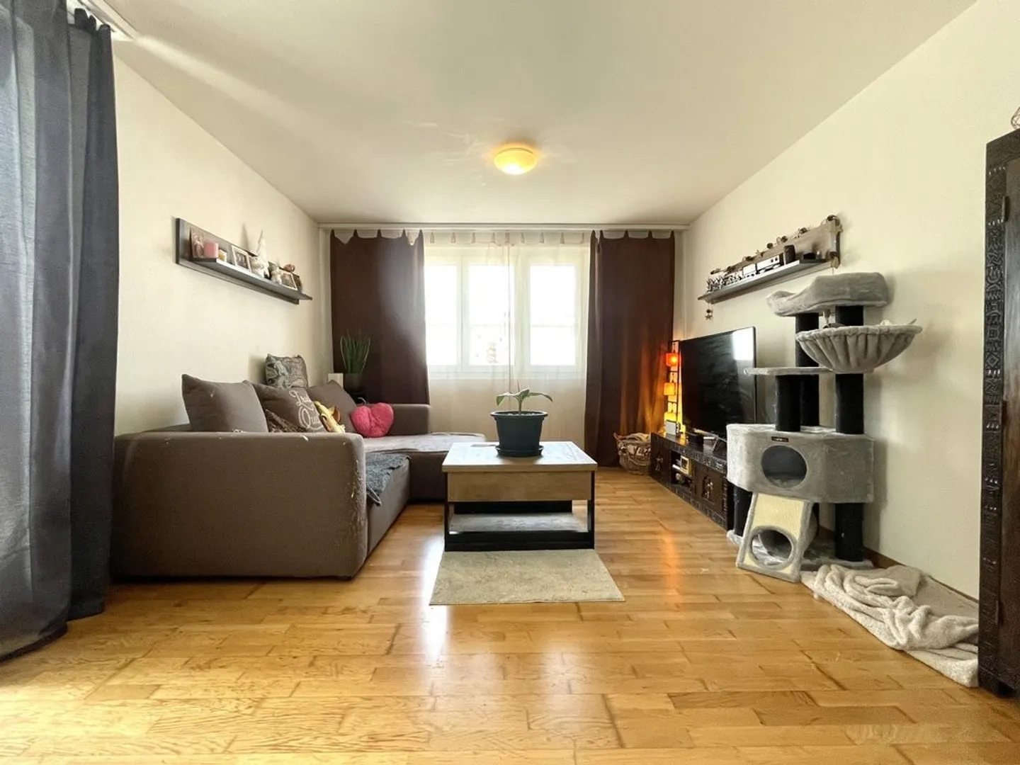 2.5 Room Apartment - Photo 4 of 9