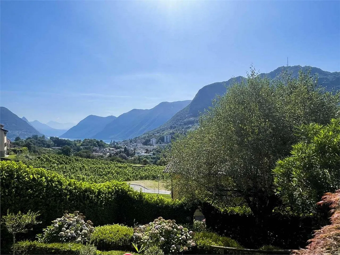 Collina d'Oro - MÖGLICHKEIT FÜR ZWEITWOHNSITZ - Foto 3 von 13