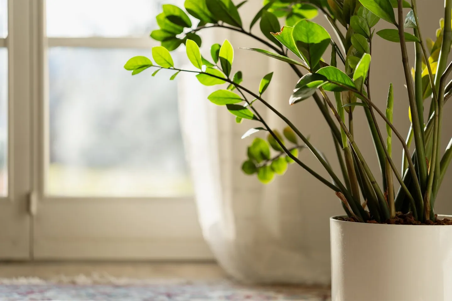 Praktische 2.5 Zimmer Wohnung an beliebter Lage in Gümligen - Foto 14 von 14