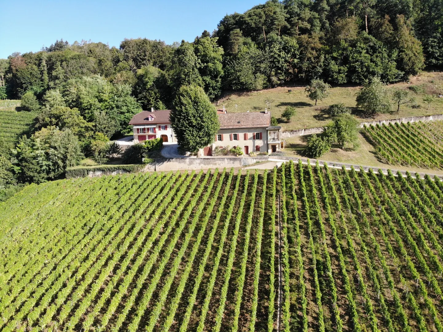 Domaine Viticole avec Vue Imprenable - Photo 1 sur 13