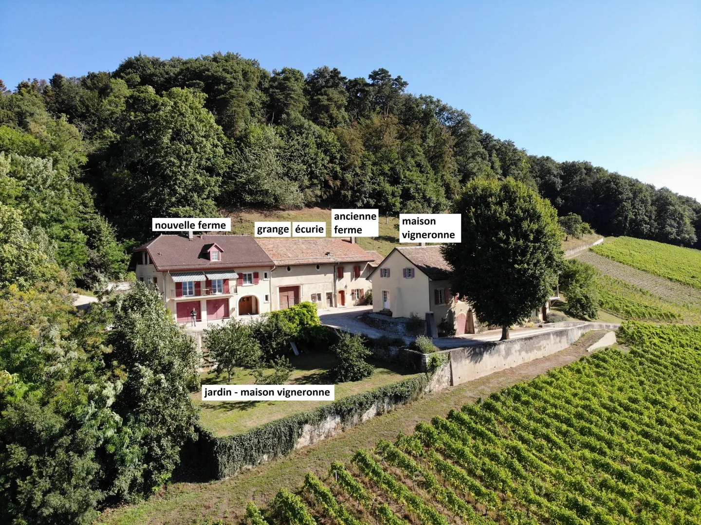 Domaine Viticole avec Vue Imprenable - Photo 3 sur 13