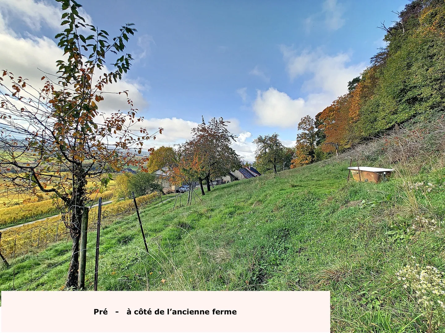 Domaine Viticole avec Vue Imprenable - Photo 4 sur 13