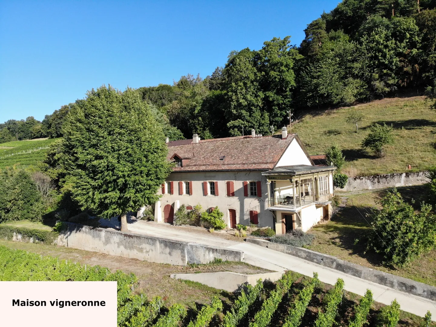 Domaine Viticole avec Vue Imprenable - Photo 5 sur 13