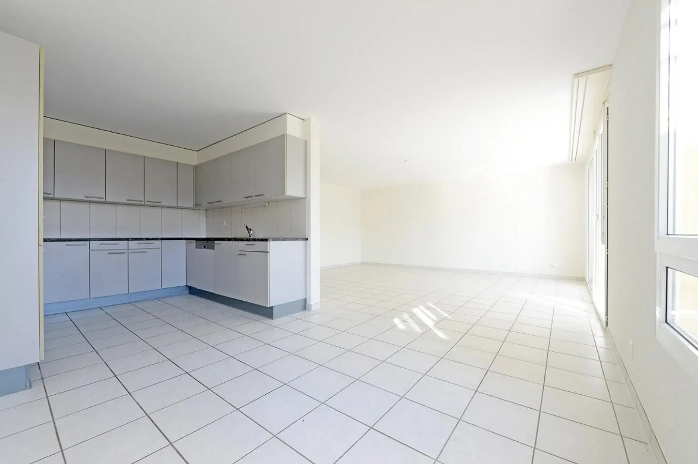 Charming 4.5 rooms in a very family-friendly neighborhood - Photo 3 of 11