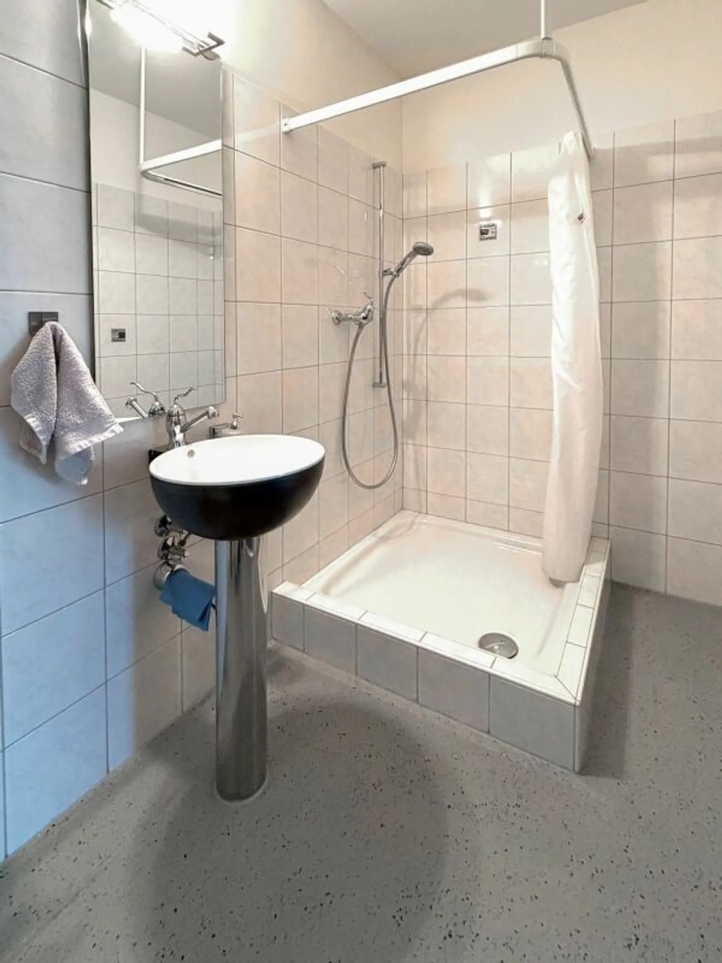 Living Oasis in the Center of Wohlen - Photo 13 of 16