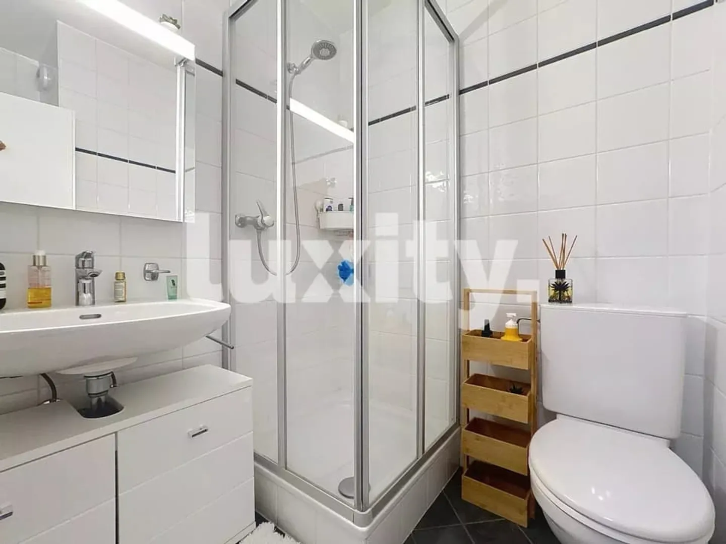 Very nice apartment in Plainpalais - Photo 4 of 5