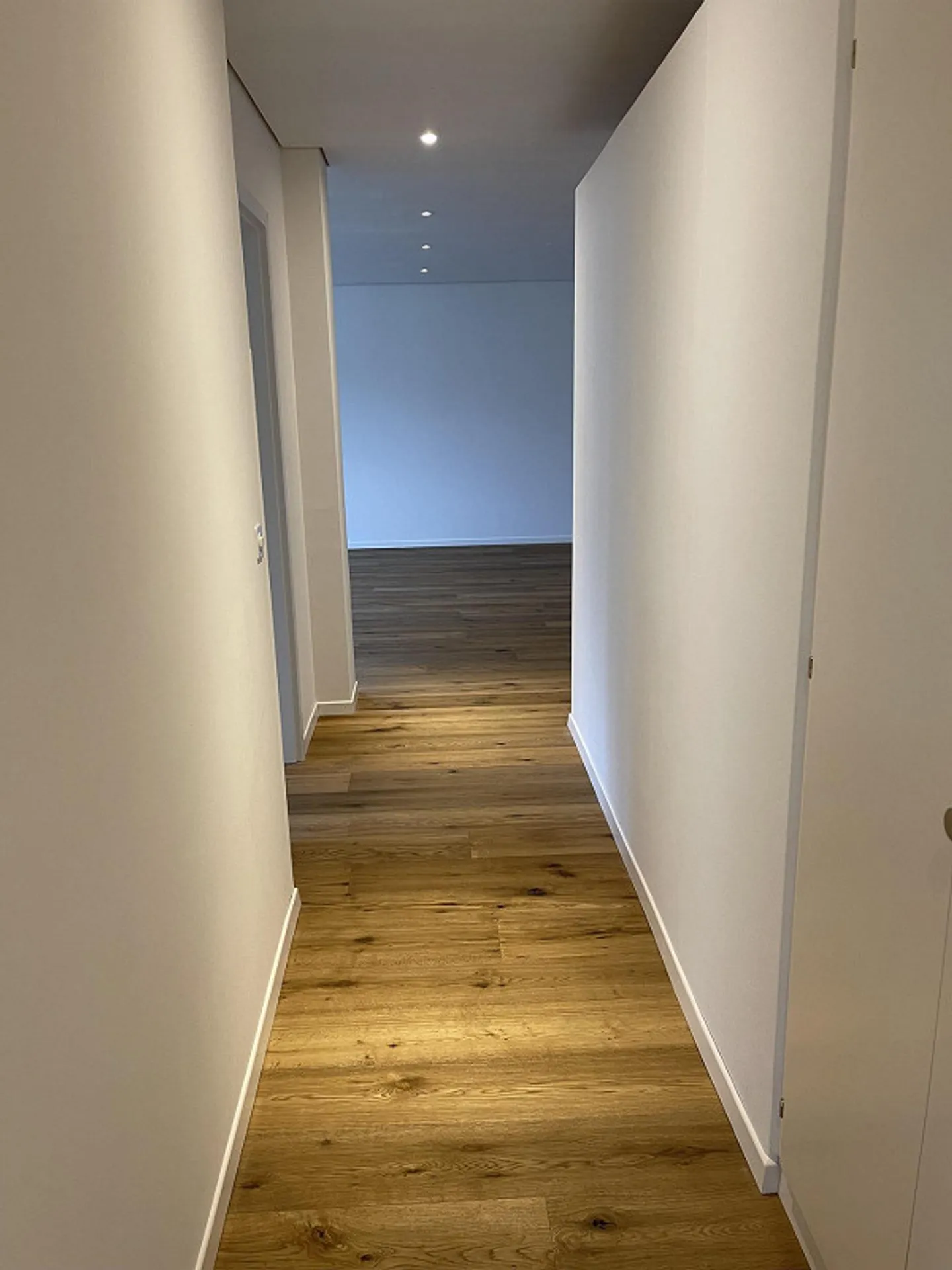 3.5-room apartment in Malix - Photo 4 of 17