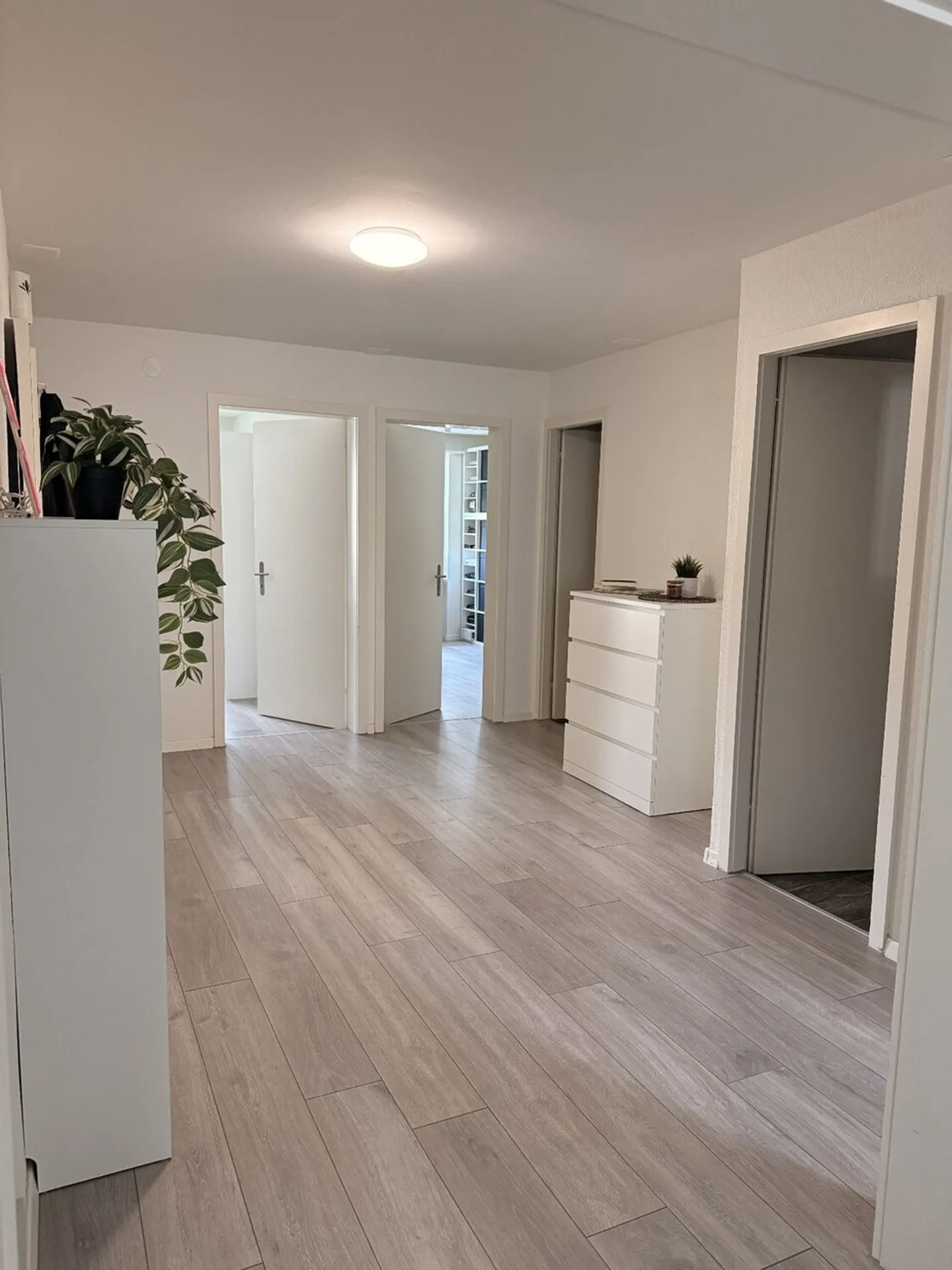 Charming 3.5 Room Apartment - Erlenstrasse 10, 4410-Liestal, Baselland - Photo 3 of 13