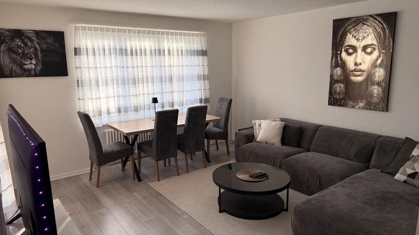 Charming 3.5 Room Apartment - Erlenstrasse 10, 4410-Liestal, Baselland - Photo 6 of 13