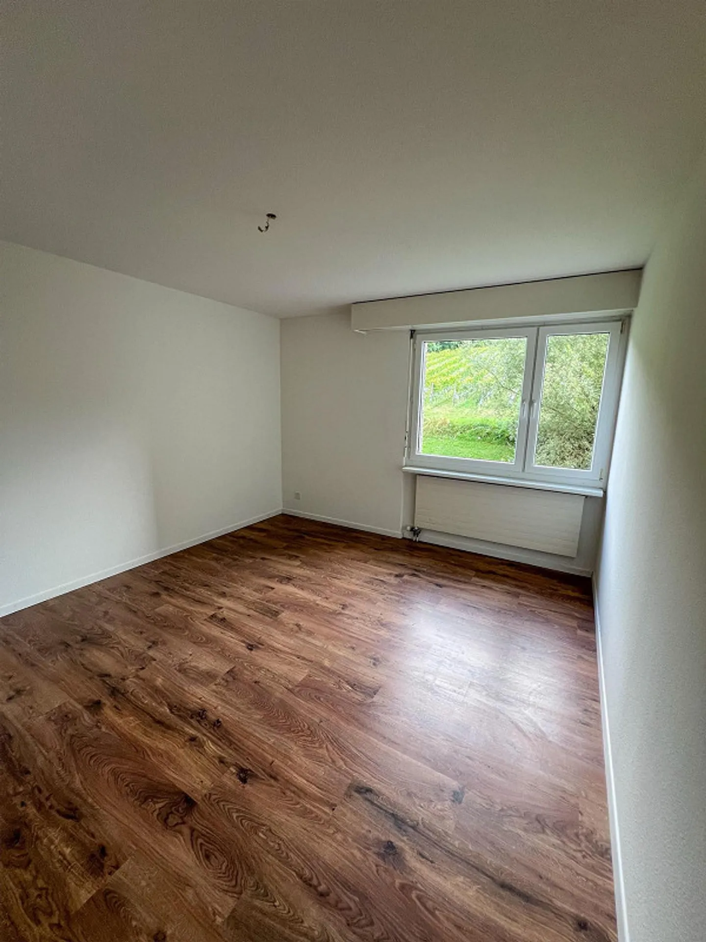 Vivere in mezzo ai vigneti - Foto 5 di 9