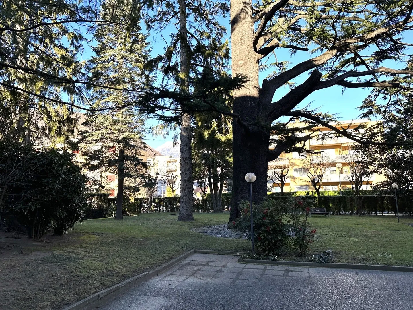 3.5 Room Apartment - Photo 4 of 12