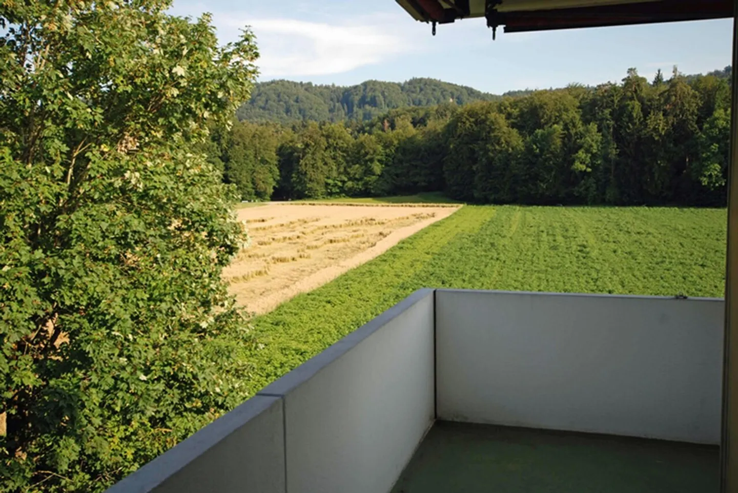 Vivere semplicemente a Urtenen-Schönbühl. - Foto 11 di 12