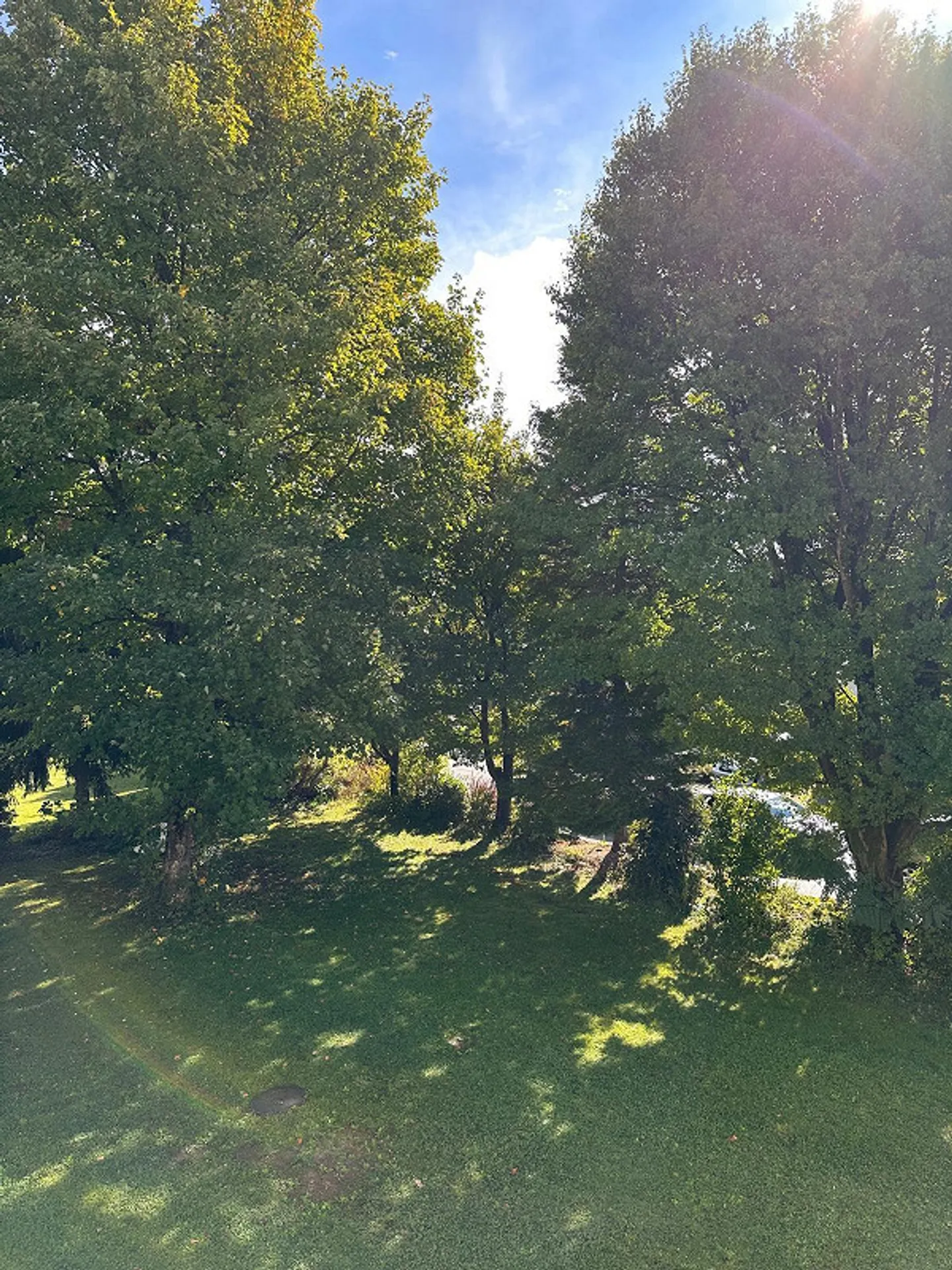 2-Zimmer-Wohnung in Grenchen - Foto 15 von 16