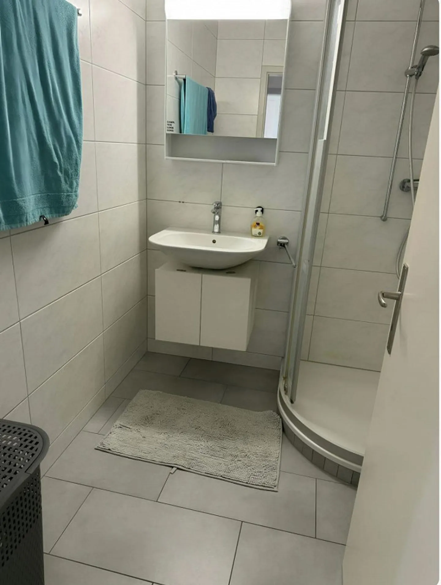 Appartement lumineux de 3 pièces à Winterthur - Photo 9 sur 10