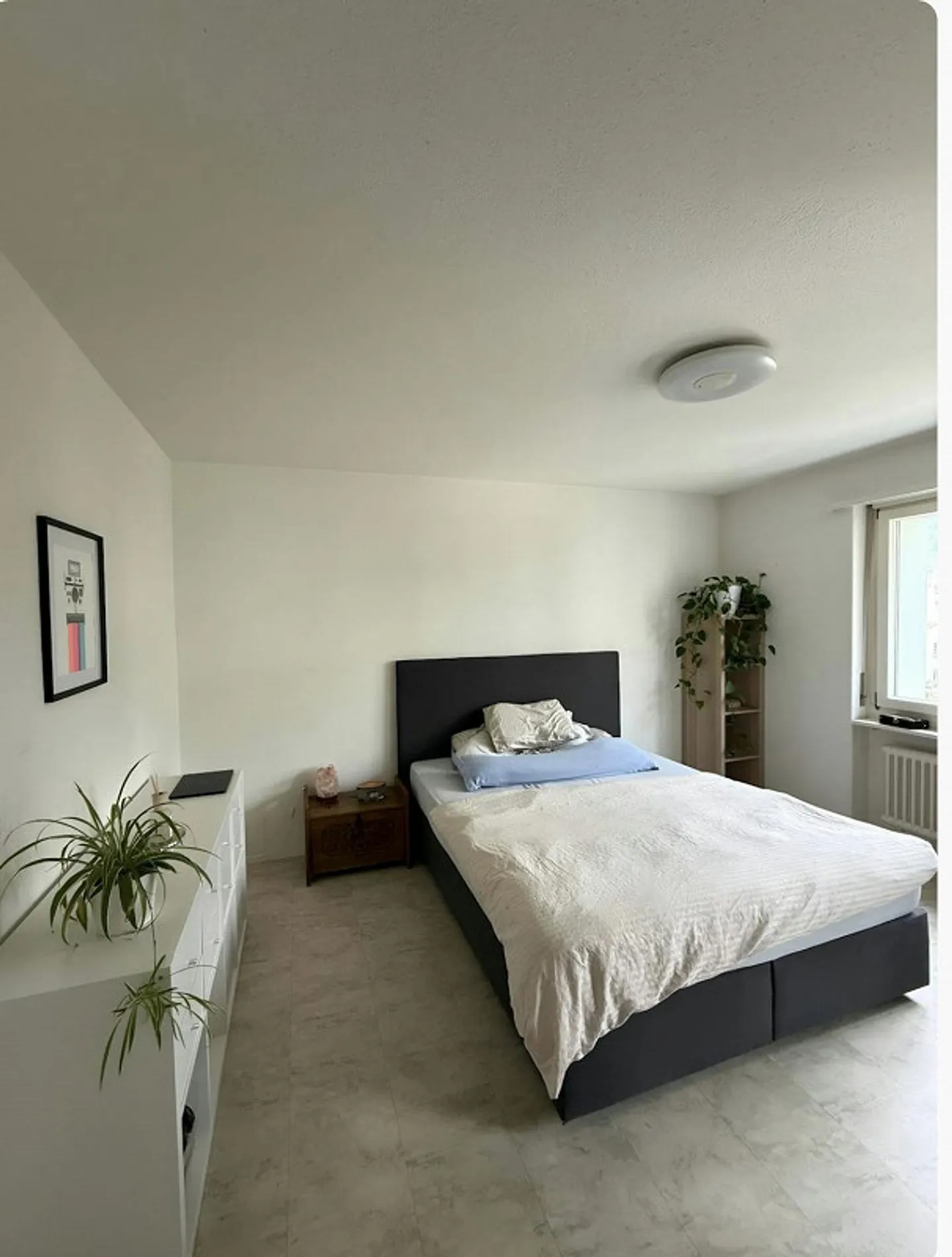 Appartement lumineux de 3 pièces à Winterthur - Photo 3 sur 10