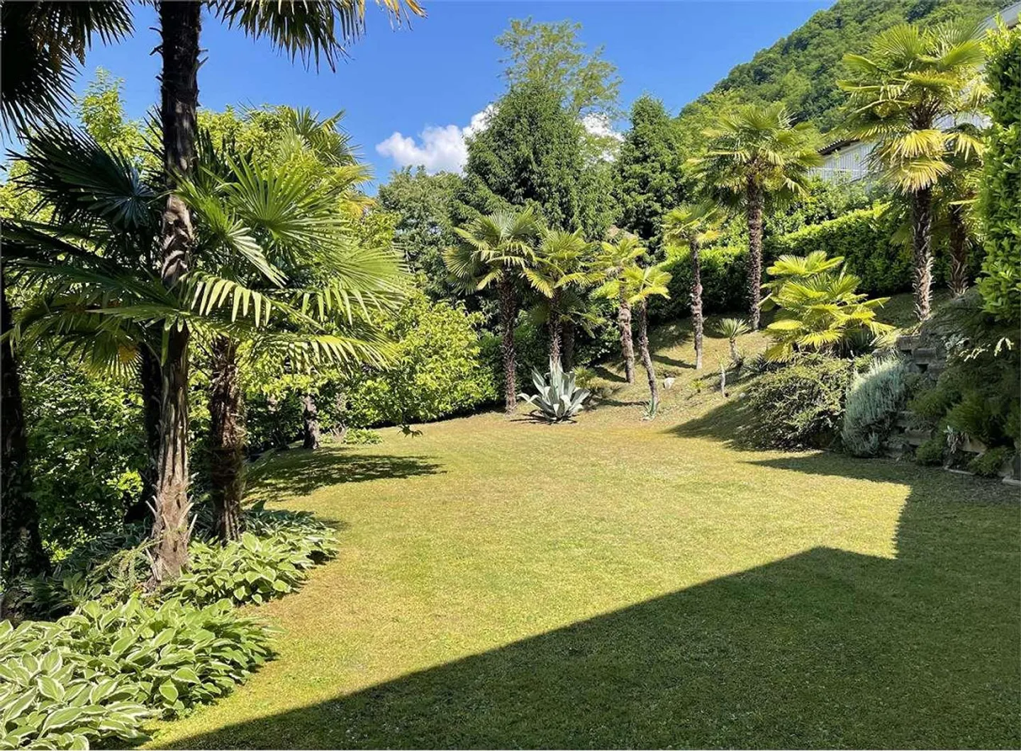 Villa del Sole - Exclusive real estate complex with lake view, swimming pool - Photo 6 of 13