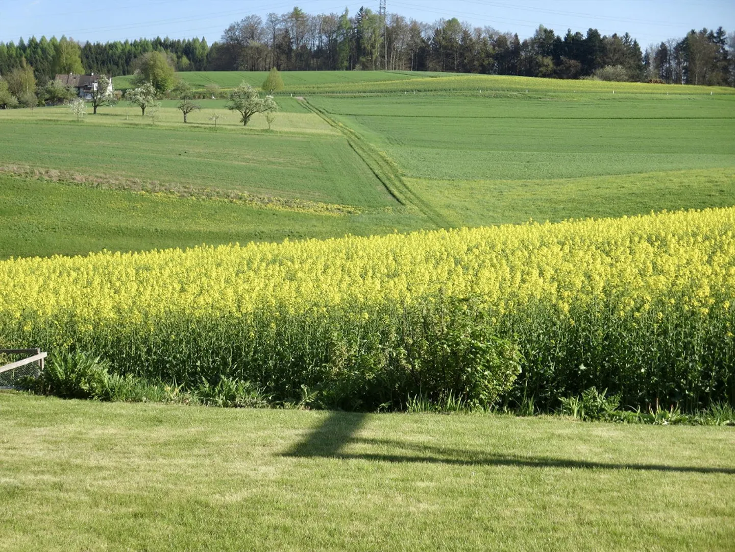 Wohnen am Stadtrand von Winterthur im grosszügigen Reiheneckhaus - Foto 11 von 12