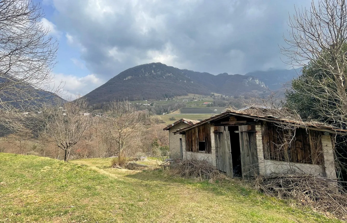 Terreno edificabile di 1300 mq immerso nella natura - Foto 6 di 11