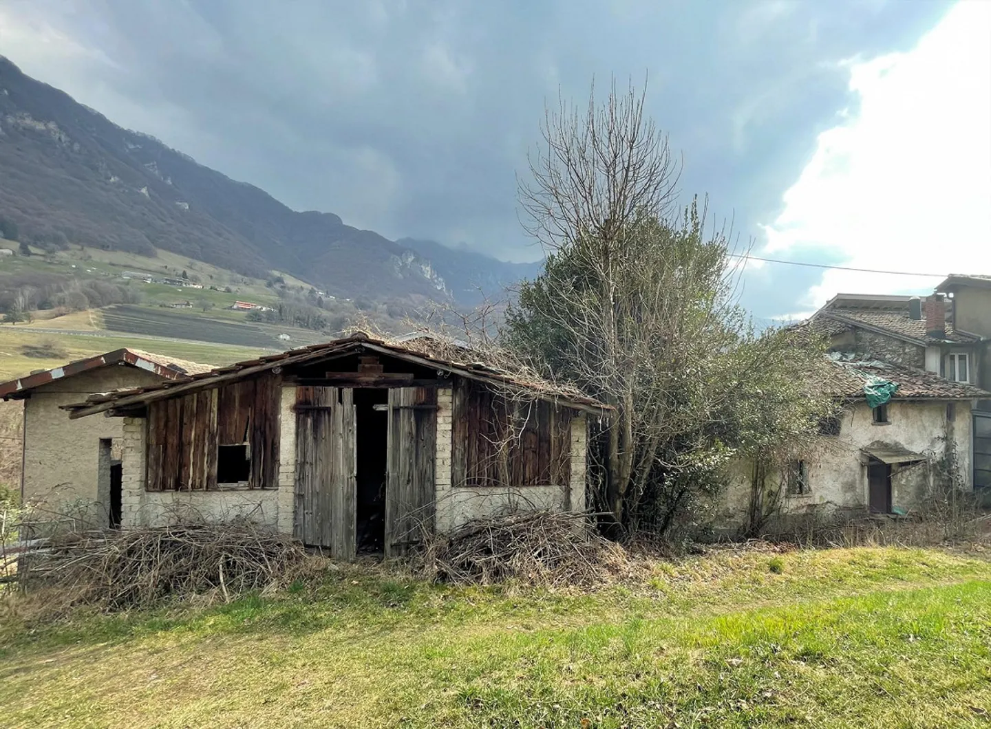 Terreno edificabile di 1300 mq immerso nella natura - Foto 7 di 11