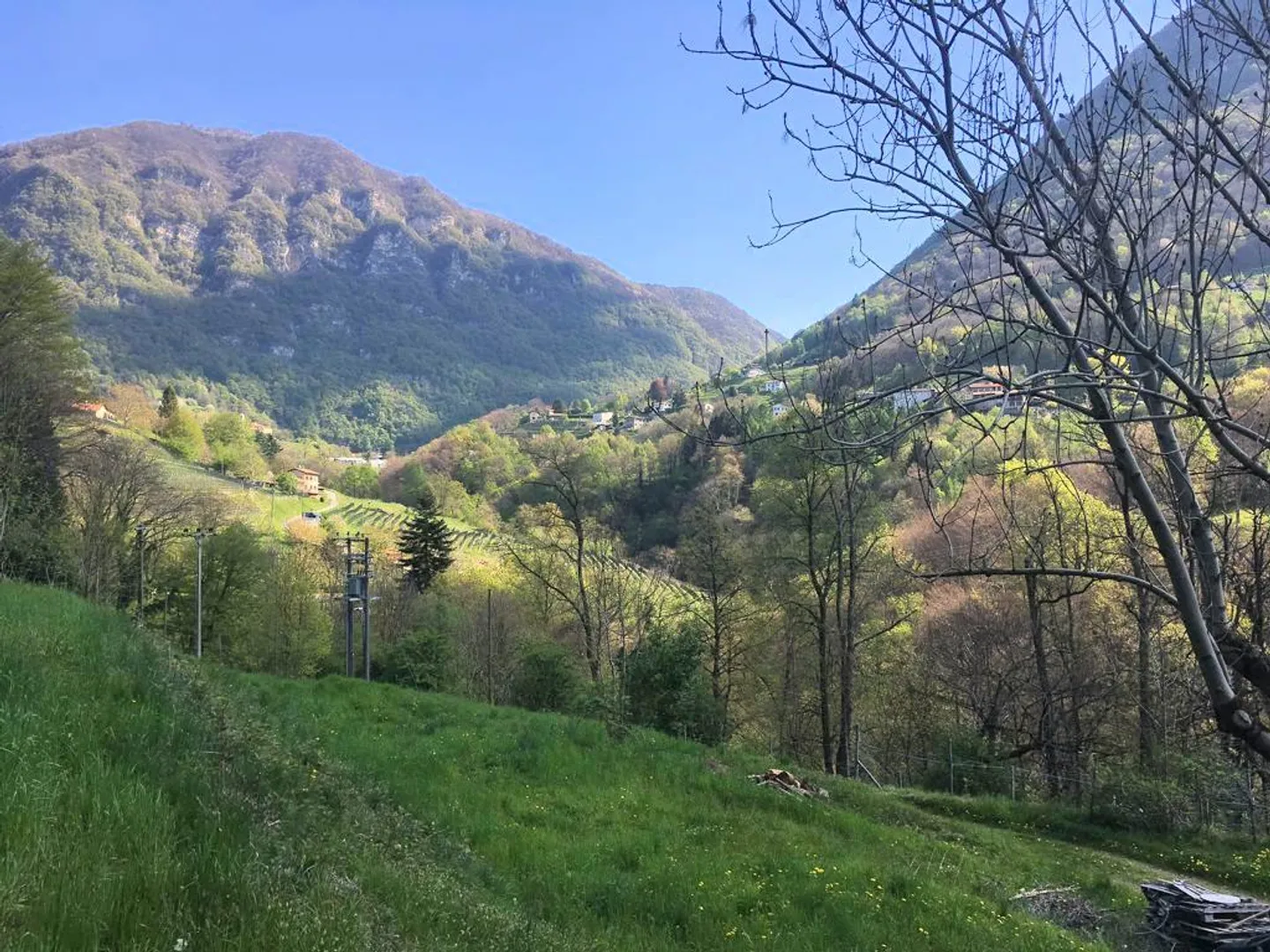 Terreno edificabile di 1300 mq immerso nella natura - Foto 8 di 11