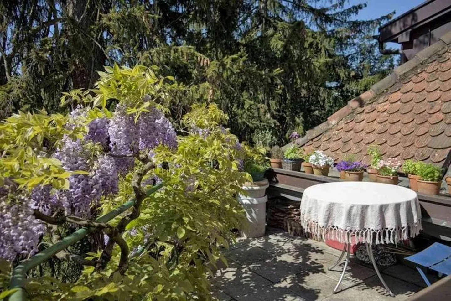 Appartamento affascinante di 4,5 stanze a Winterthur - Foto 6 di 11