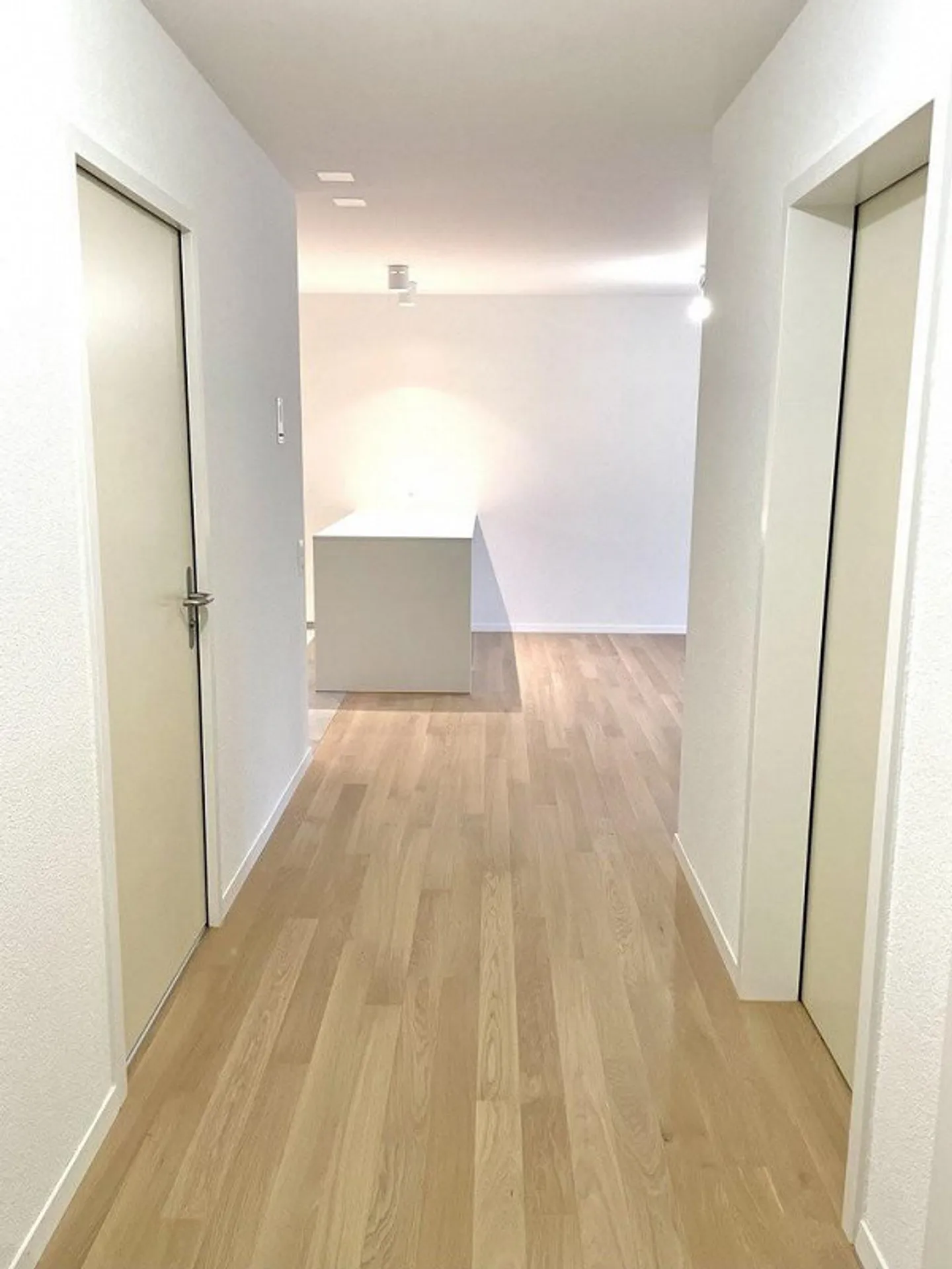 Appartement 2.5 pièces fraîchement rénové - Photo 5 sur 11
