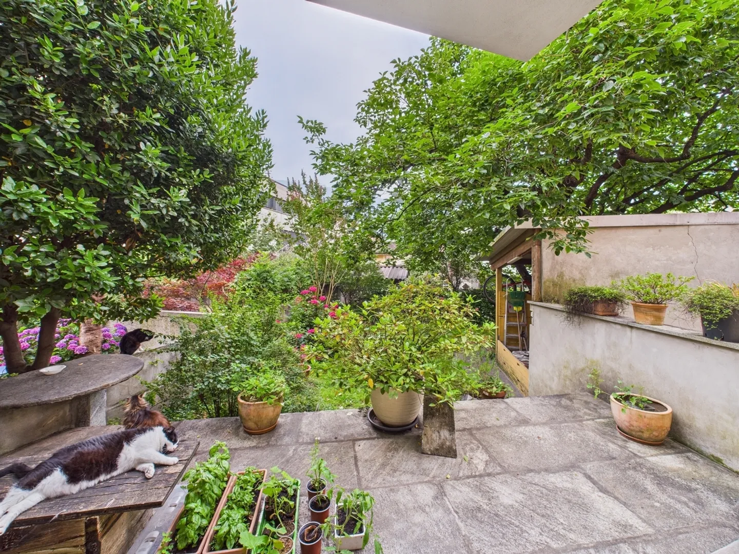 Villa unifamiliale de première classe à Monte, Canton du Tessin - Photo 11 sur 13