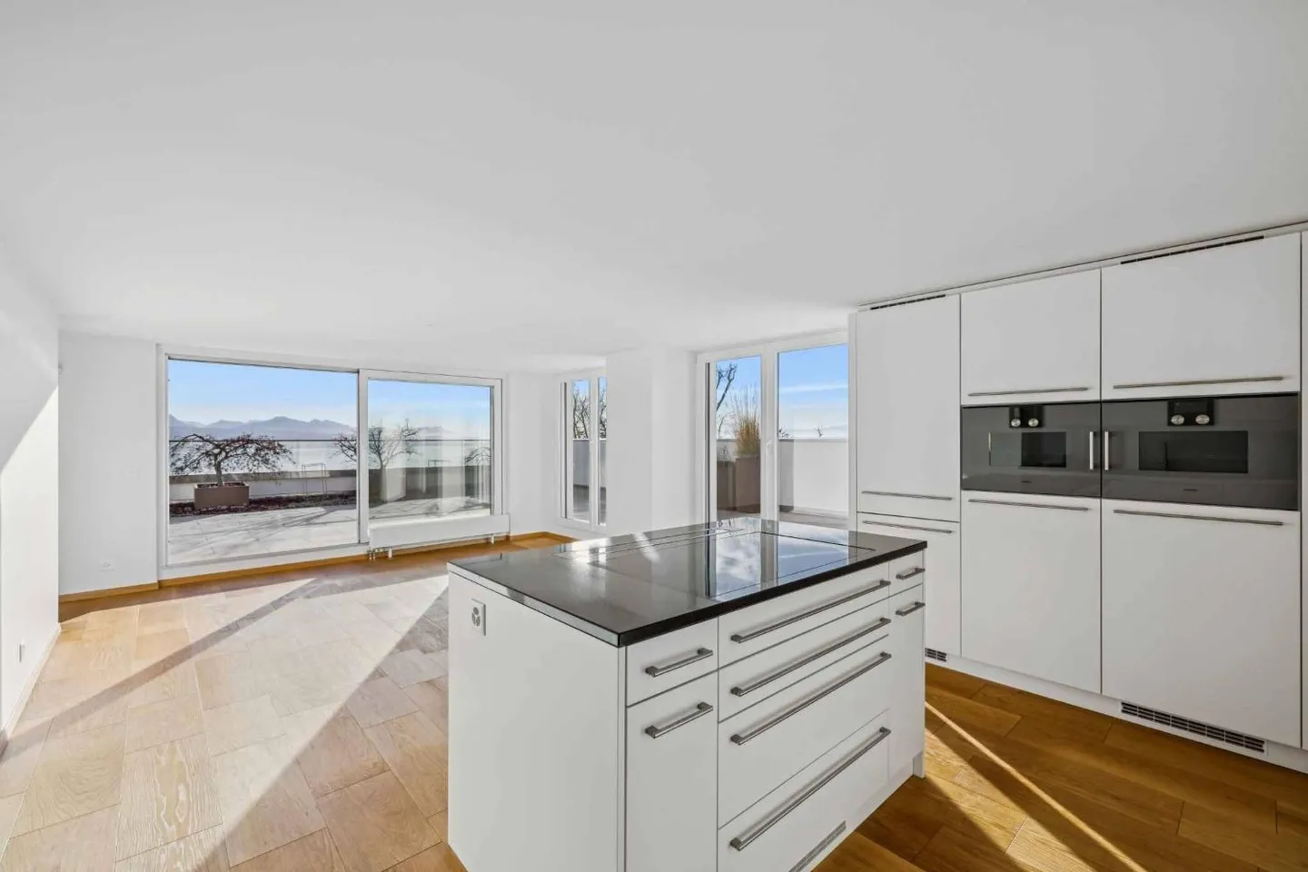 Extraordinary penthouse with breathtaking lake view - Photo 10 of 12