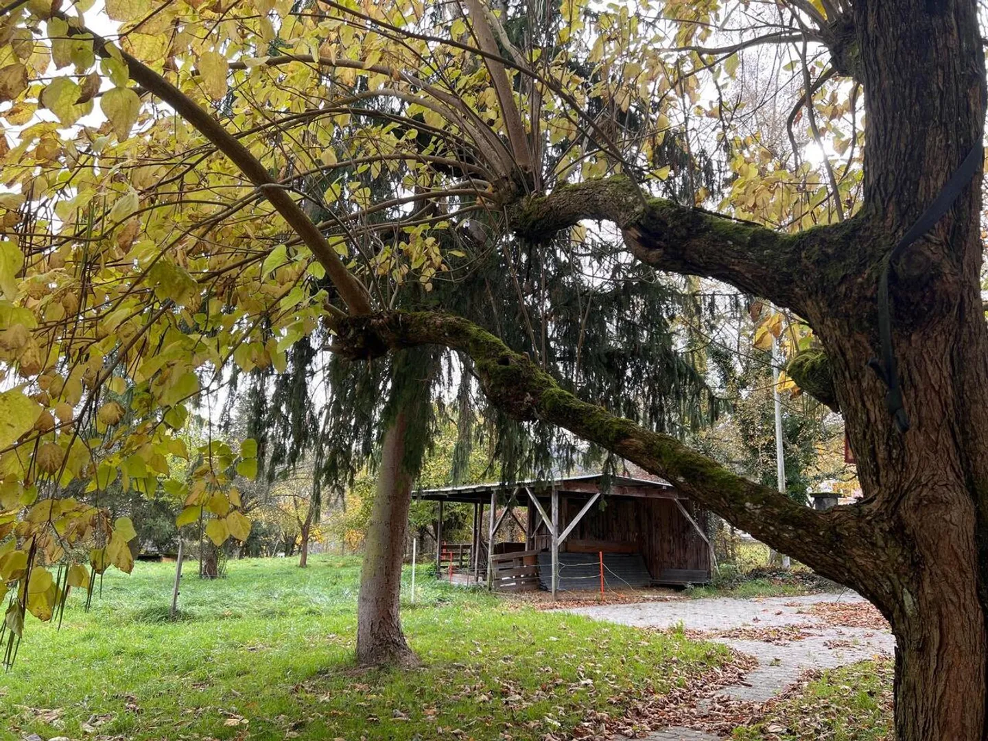 Fontenais, land for construction - Photo 4 of 8