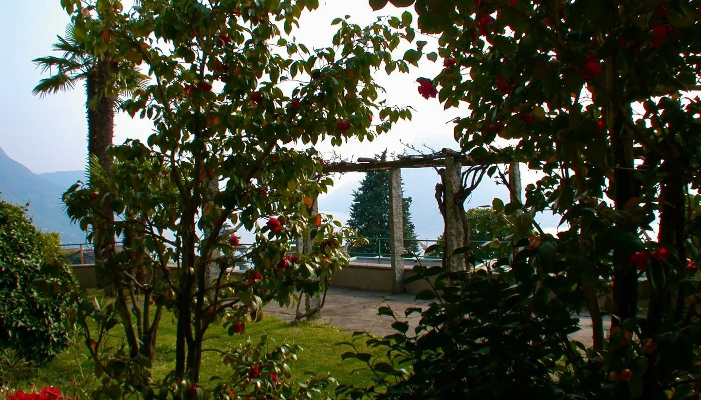 Appartement de style loft au niveau du jardin avec vue fantastique et piscine - Photo 8 sur 9