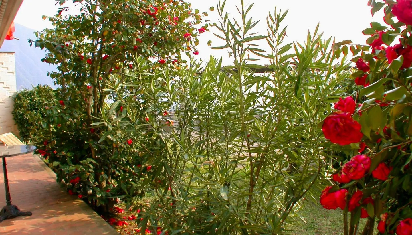 Appartement de style loft au niveau du jardin avec vue fantastique et piscine - Photo 7 sur 9