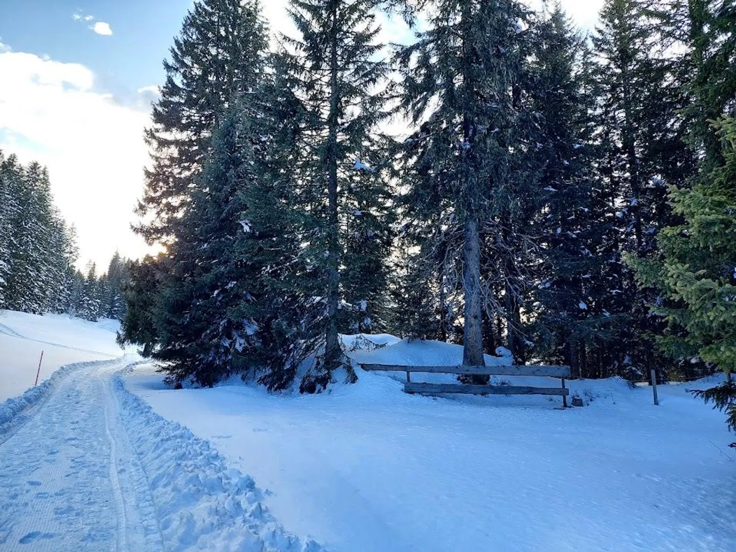 Idyllic Forest Cabin with Grill Area - Photo 3 of 12