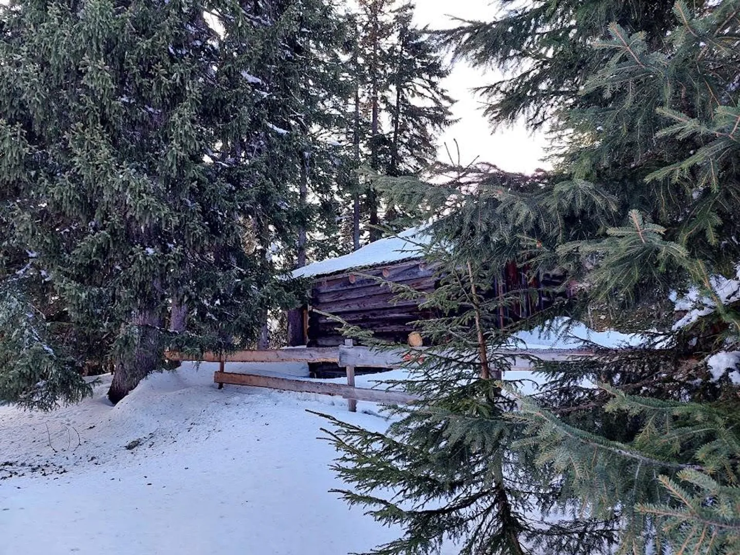 Idyllic Forest Cabin with Grill Area - Photo 4 of 12