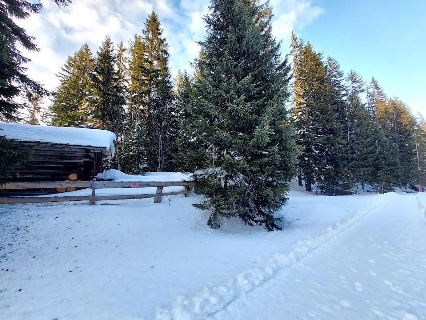 Idyllic Forest Cabin with Grill Area - Photo 5 of 12