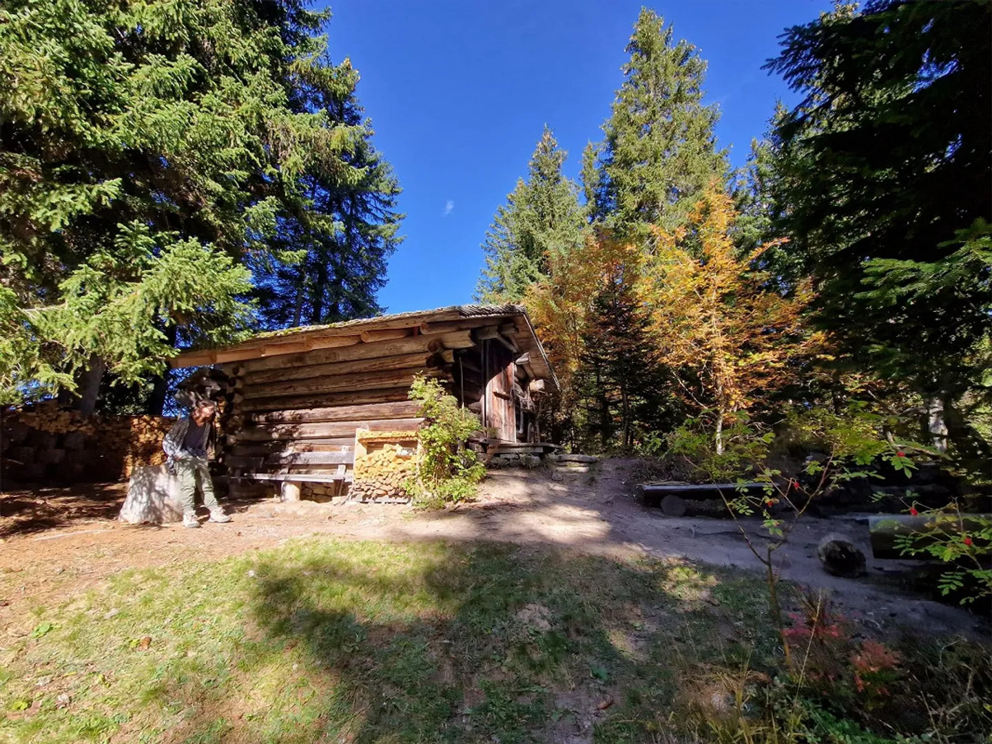 Idyllic Forest Cabin with Grill Area - Photo 1 of 12