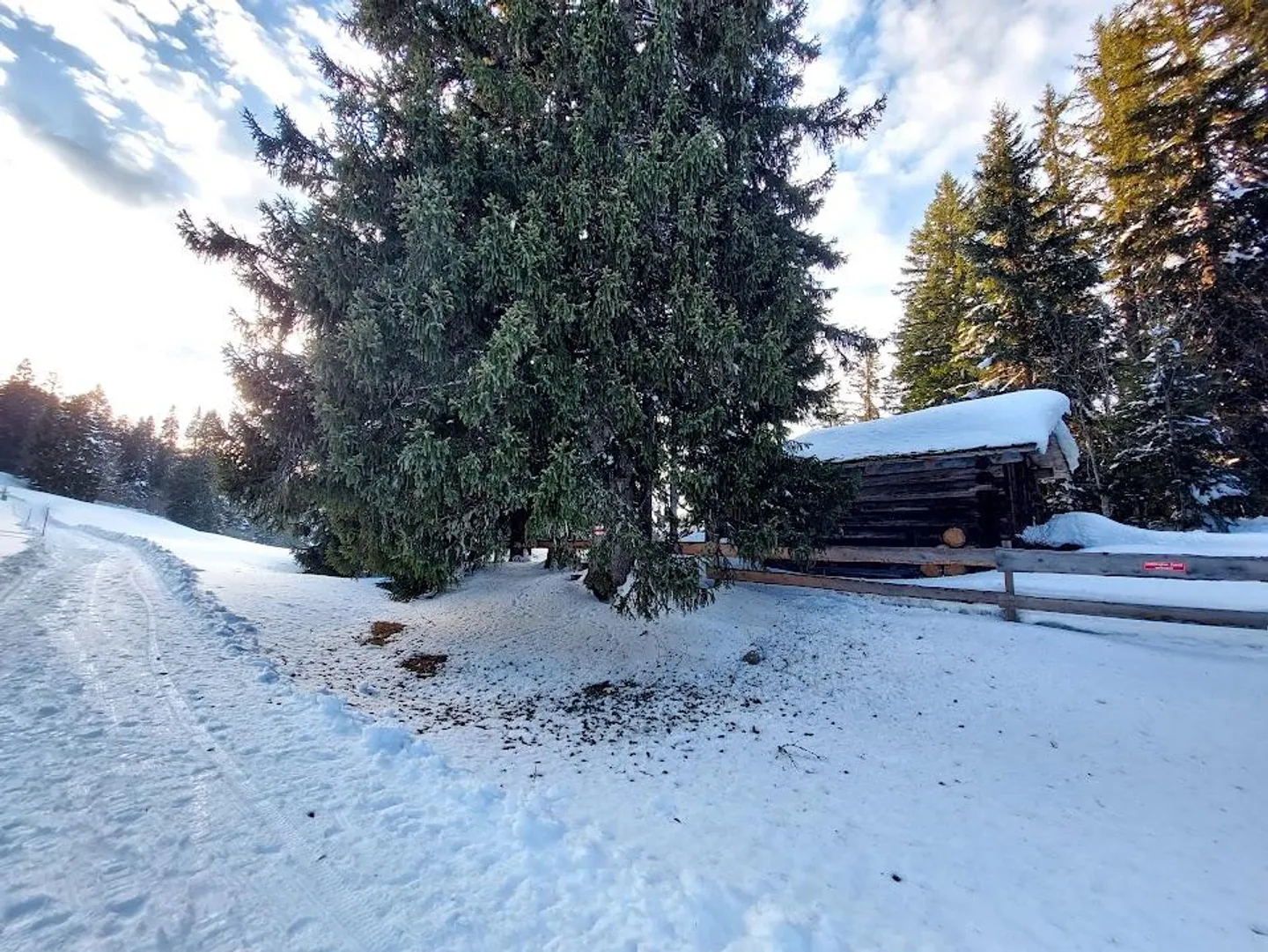 Idyllic Forest Cabin with Grill Area - Photo 6 of 12