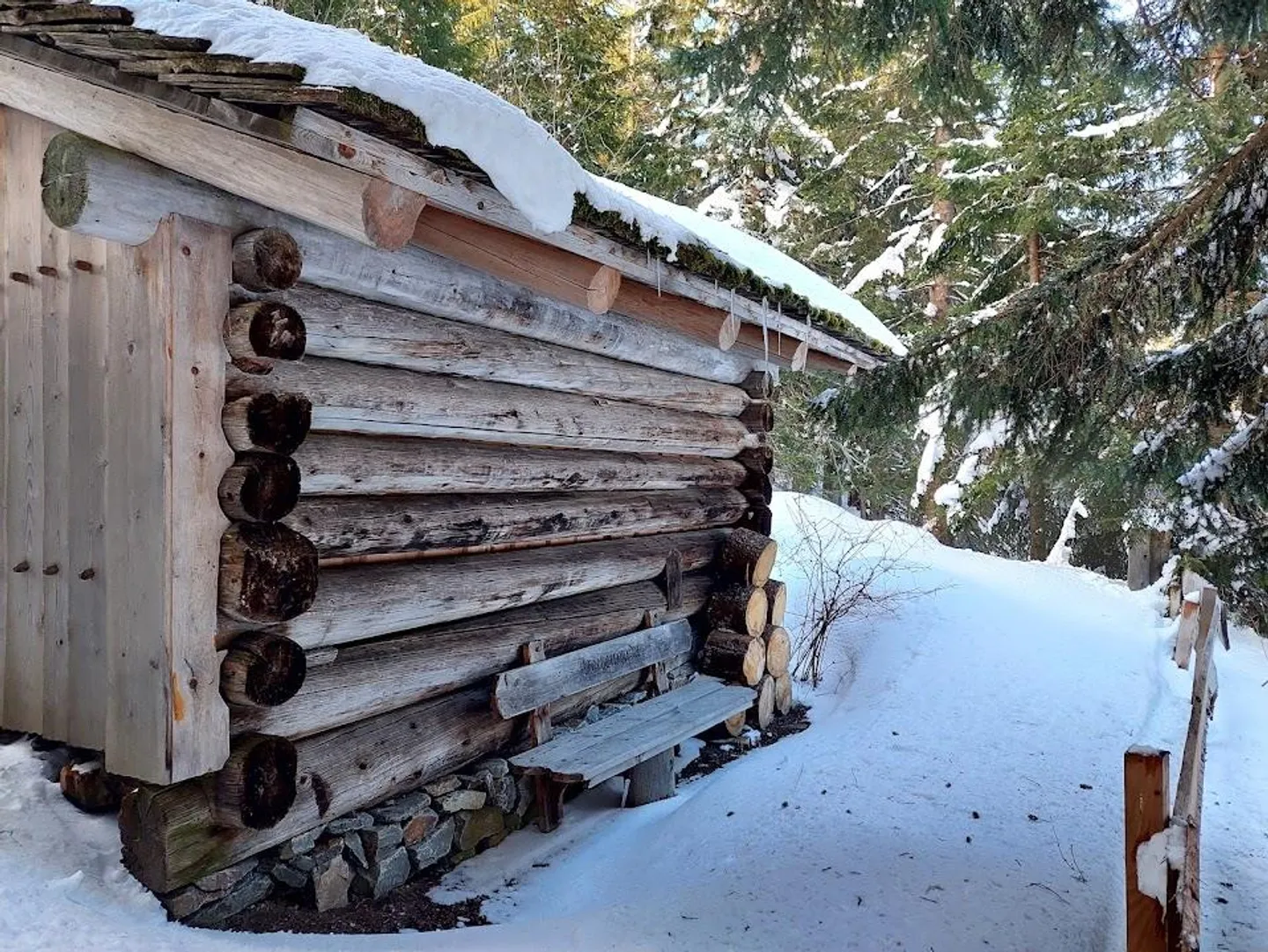 Idyllic Forest Cabin with Grill Area - Photo 7 of 12