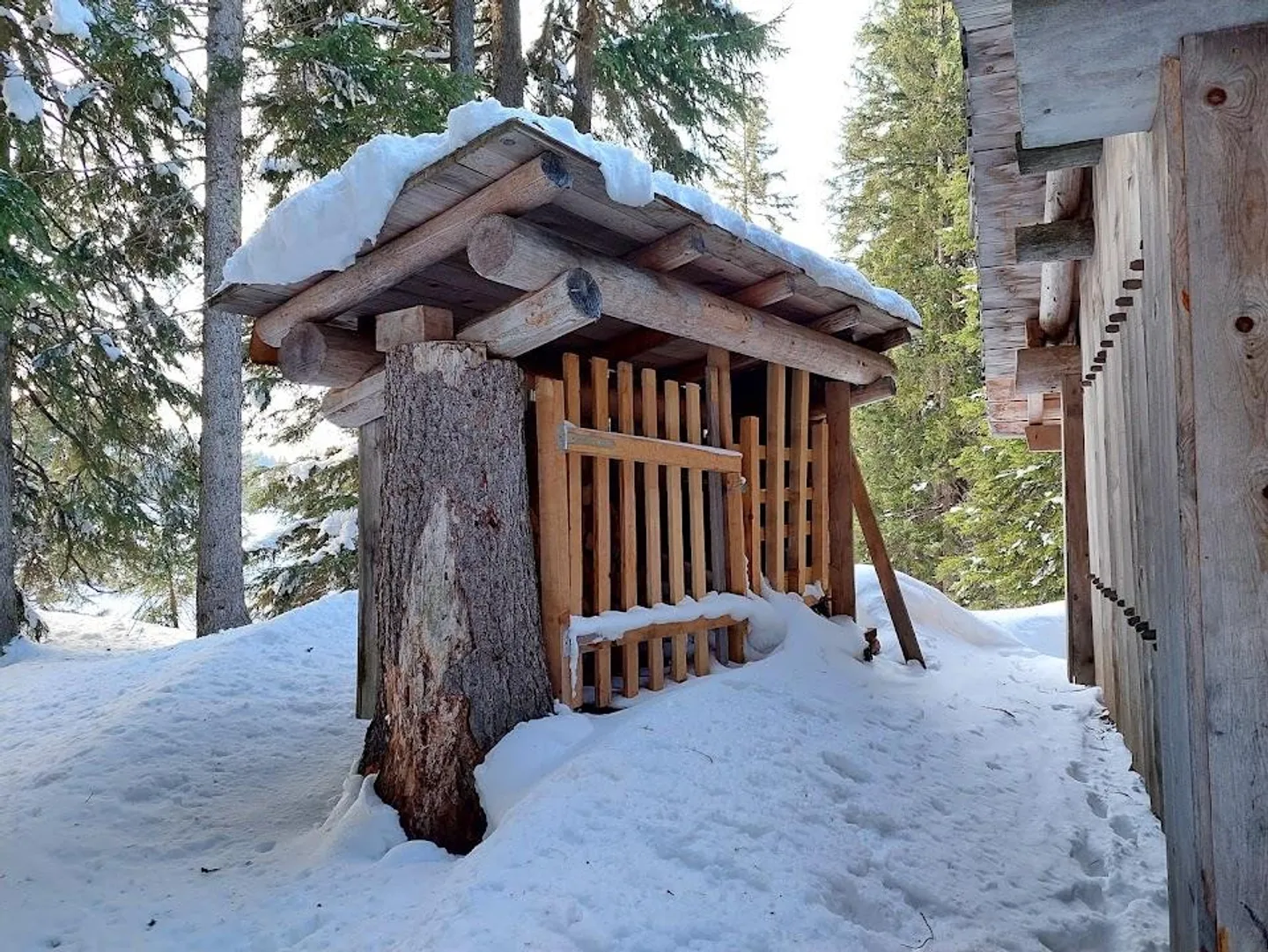 Idyllic Forest Cabin with Grill Area - Photo 8 of 12