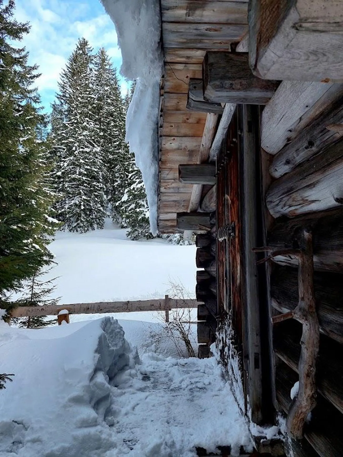 Idyllic Forest Cabin with Grill Area - Photo 10 of 12