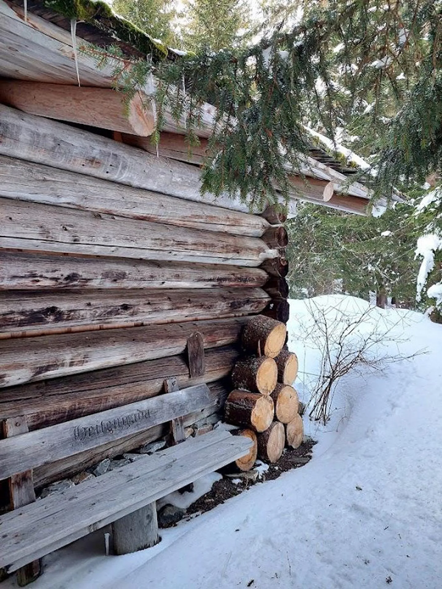 Idyllic Forest Cabin with Grill Area - Photo 11 of 12