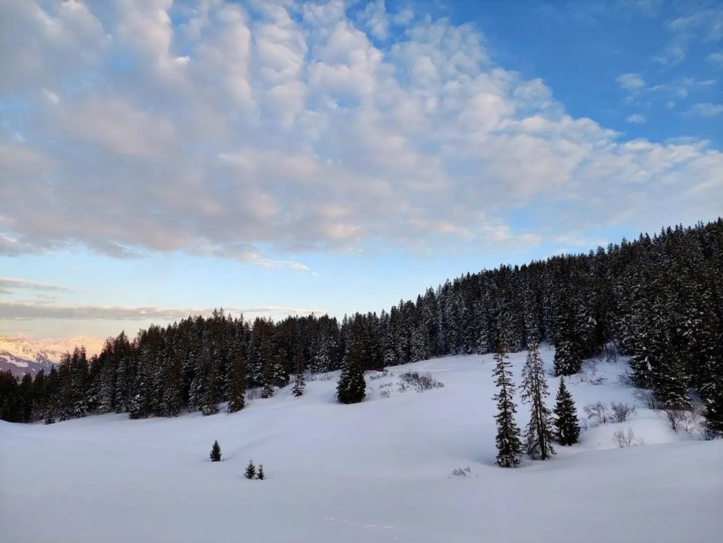 Idyllic Forest Cabin with Grill Area - Photo 12 of 12