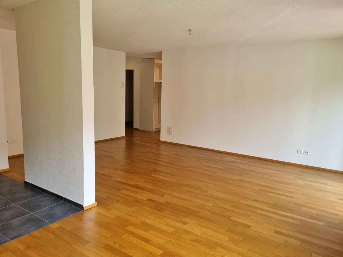 Votre nouveau chez-vous au pied du Gonzen - Photo 4 sur 10