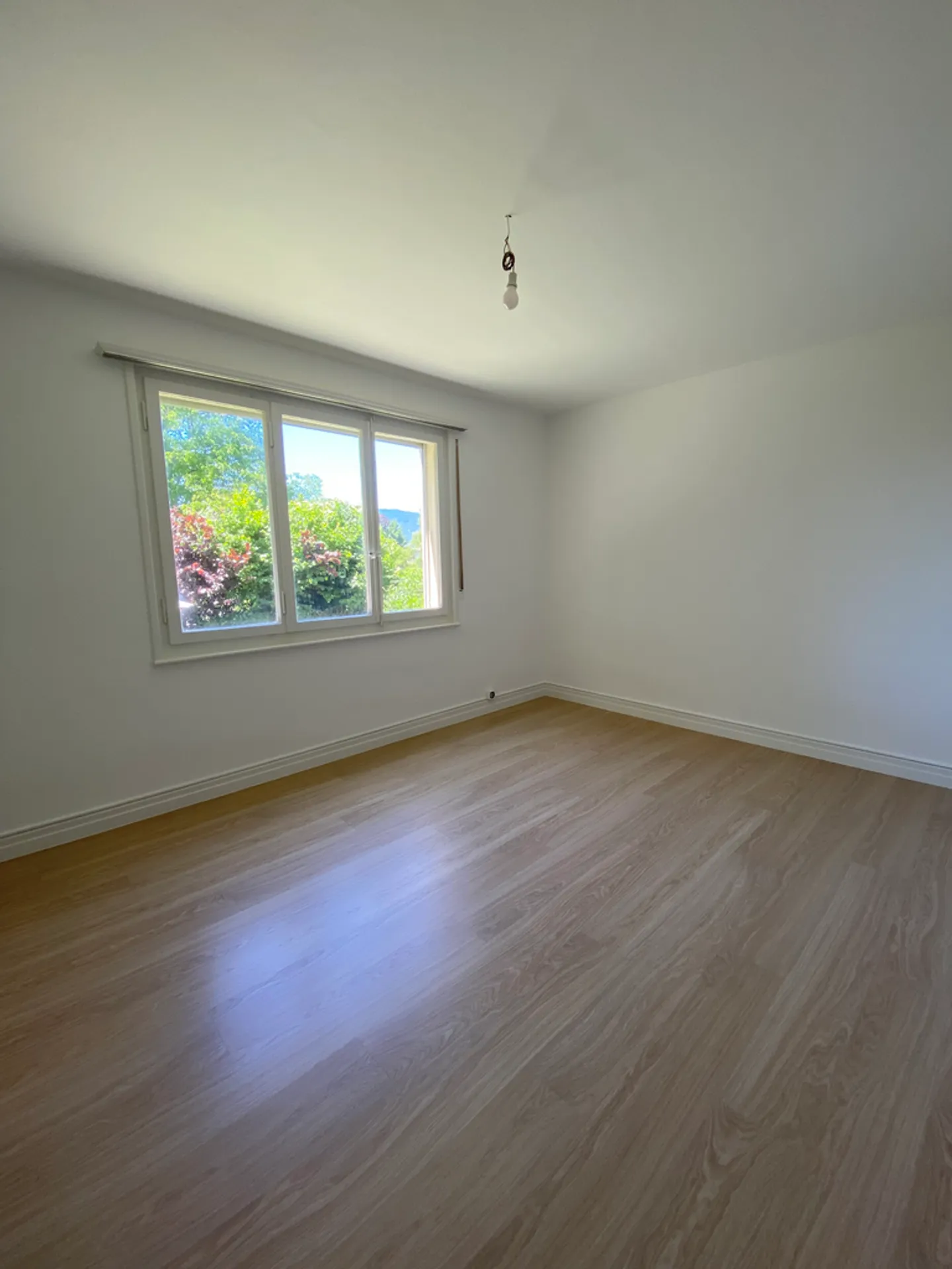 3.5 Room Apartment - Photo 5 of 9