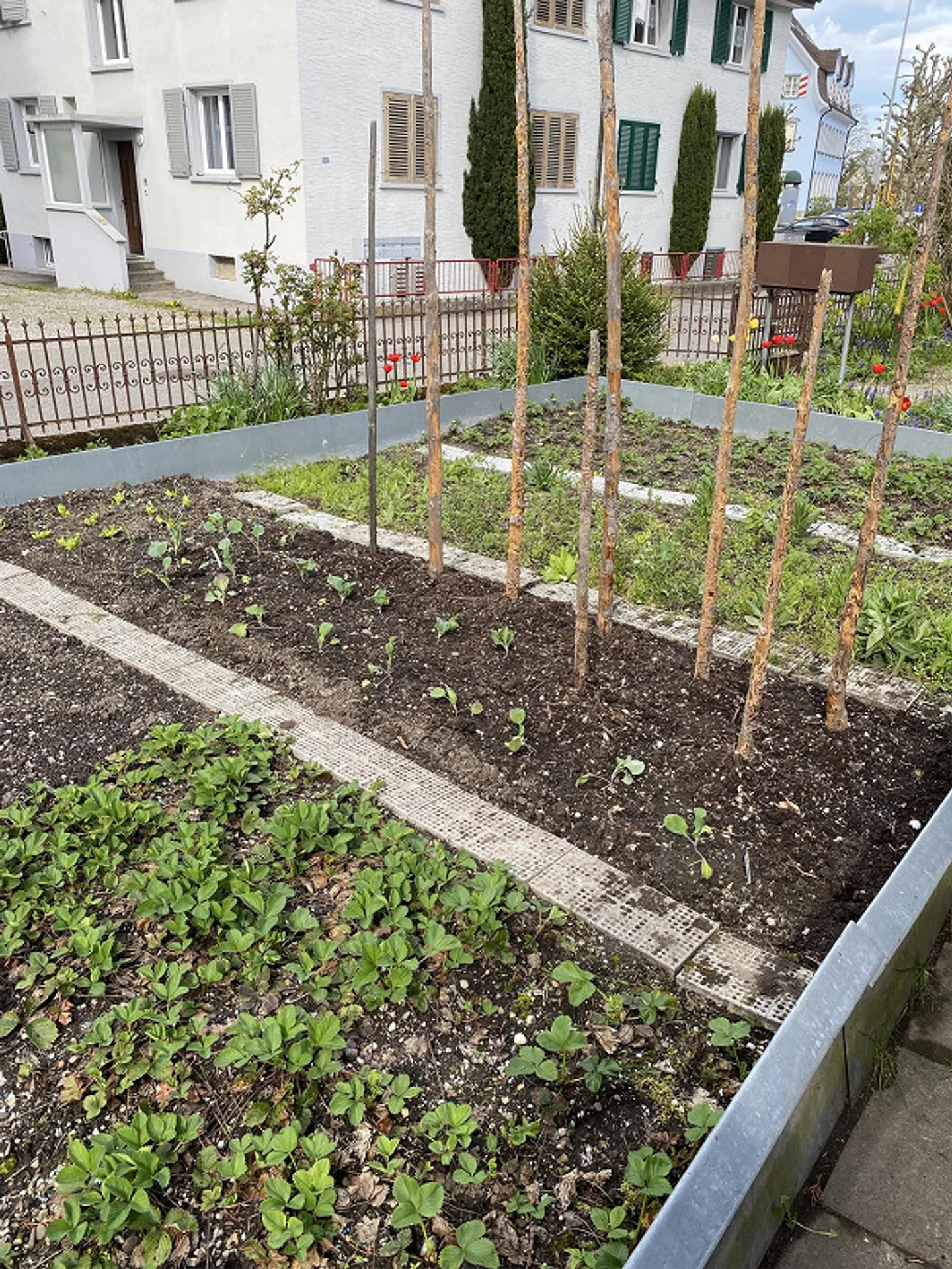 3 1/2 Room Apartment - Photo 19 of 19